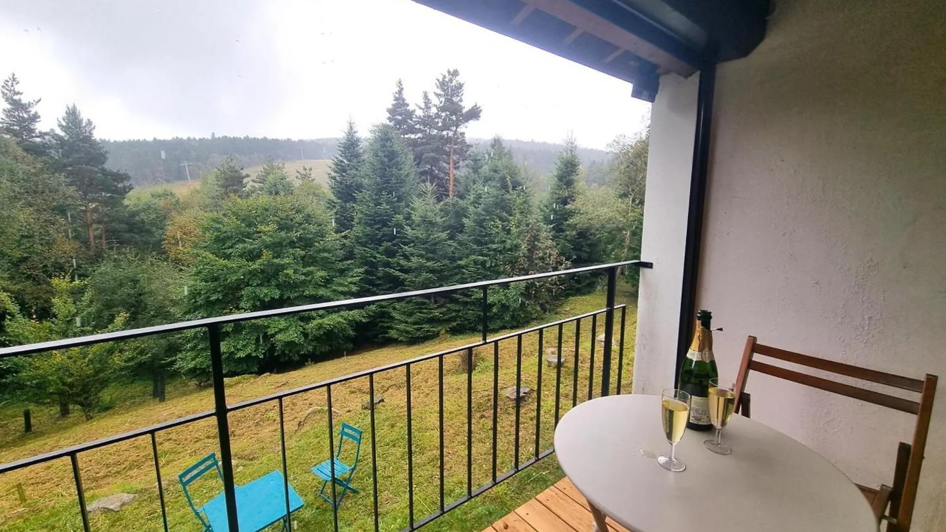 Triplex Montagnard Avec Sauna Et Balcon, Vue Pistes - Fr-1-496-338 Chalmazel-Jeansagniere 0*,